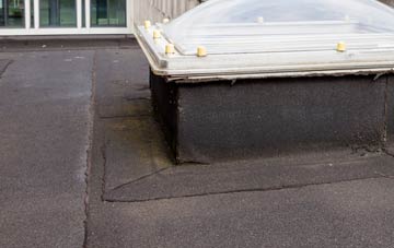 disadvantages of Linnyshaw flat roofs